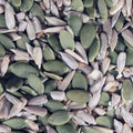 Omega Four Seed Mix