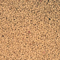 Organic Amaranth Grain