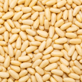 Organic Pine Nuts