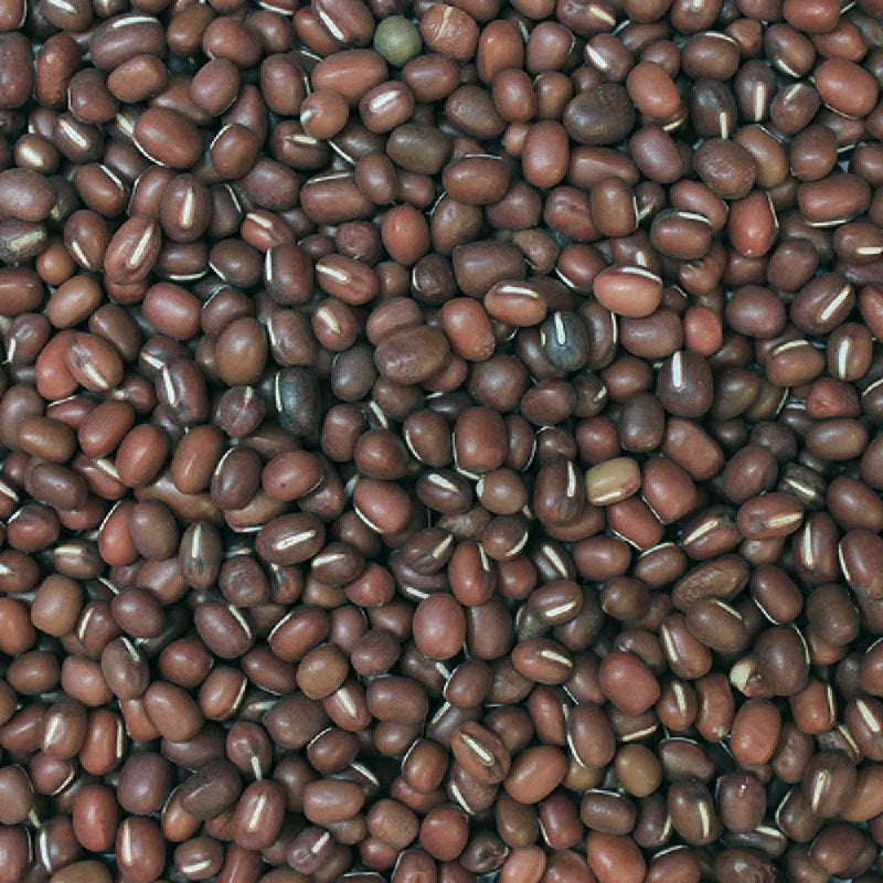 Organic Aduki Beans