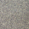Organic Alfalfa Seeds