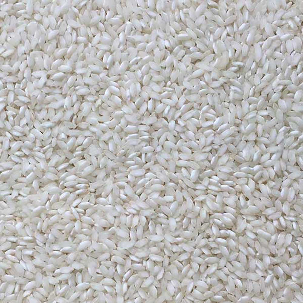 Infinity Foods Bulk Organic Arborio Rice