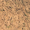 Brown Basmati Rice