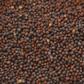 Organic Brown Mustard Seeds