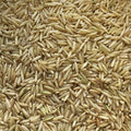 Organic Brown Rice