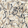 Organic Gluten Free Jumbo Oats