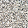 Organic Quinoa