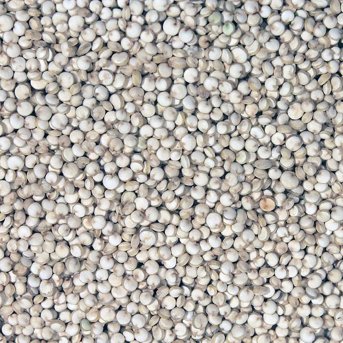 Organic Quinoa