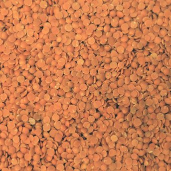 Red Lentils