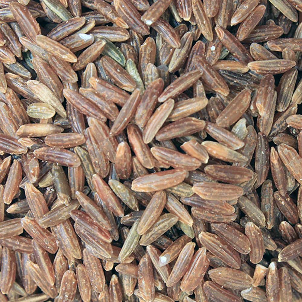 Organic Red Rice