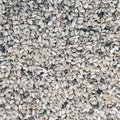 Sesame Seeds
