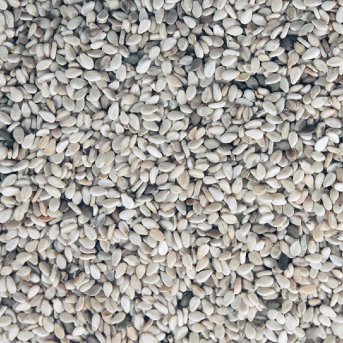 Sesame Seeds