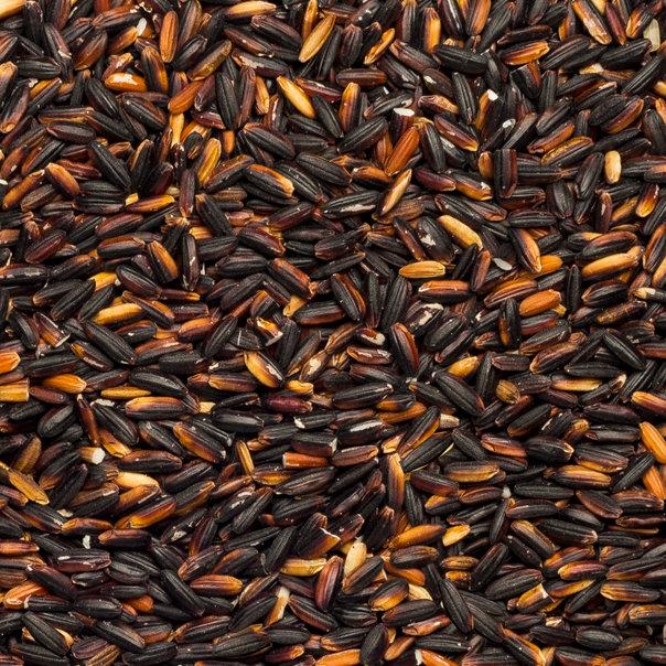 Organic Black Glutinous Rice